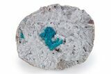 Vibrant Blue Cavansite Crystals on Sparkling Stilbite - India #340990-1